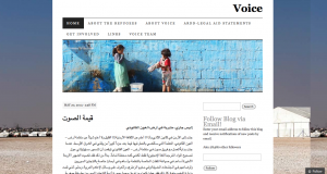 Voice Blog